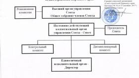 Единоличный исполнительный орган юридического лица в Ариант