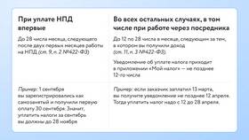 Как оплачивать налоги и взносы за ИП в 2024 году в Ариант