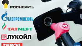 Как потратить бонусы АЗС Татнефть в Ариант