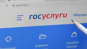 Как самостоятельно подать заявление через Госуслуги в Ариант