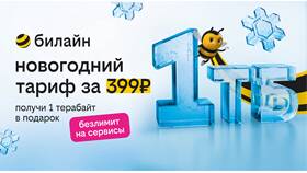 Как узнать остаток интернет-трафика на Билайне