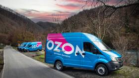 Периоды скидок на маркетплейсе Ozon в Ариант