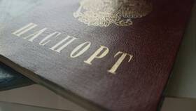 Почему паспорт недействителен на Госуслугах в Ариант