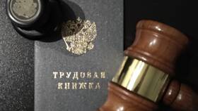 Увольнение работника как мера дисциплинарного взыскания в Ариант