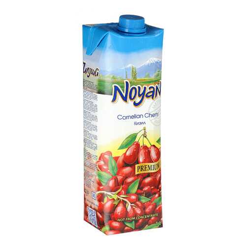 Кизиловый нектар Noyan premium 1л в Ариант